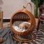 ZOOMIES Freestanding Hanging Cat Hammock - Brown Carousel 5