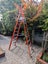 Fibreglass 2.23M Platform Ladder 7 Treads Carousel 1