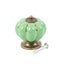 Pumpkin Shape Door Knobs Green Color Carousel 1