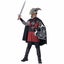 Dragon Rider Slayer Knight Medieval Warrior Fairytale Book Week Boys Costume Carousel 1