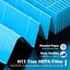 MK01 & MK06 True HEPA Filter Replacement Compatible with Aroeve MK01, MK06, Carousel 4