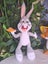 Vintage McDonald's Looney Tunes Plush Collectible Happy Meal Toys – 2008 Carousel 2