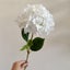 5 Piece White Premium Lifelike Hydrangea Artificial Flowers 60Cm Long Stem Faux Carousel 1