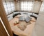 gallery view thumbnail