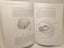 Foundations in Craniosacral Biodynamics Volume One Carousel 19