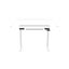 FlexiSpot E8 White Standing Desk Frame Only - Dual Motor - 3 Stage Oval Shaped Carousel 3
