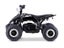 Kids Mini Quad Bike 800W Electric Black Carousel 4