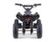 Kids Mini Quad Bike 800W Electric Black Carousel 6