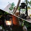 2Pack Vintage Kerosene Lamp Burning Lantern Light *Local Clearance* Carousel 9