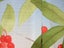 Japanese Noren doorway curtain for privacy or decor. BERRIES. Carousel 6