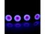 Submersible 36 LED RGB Color Changing Pond Spot Lights Underwater Pool Fountain Carousel 7