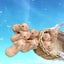 4.7in Full Silicone Piglet BPA-Free Soft Silicone Pig Doll Cute Lifelike Re Carousel 6