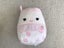 Squishmallow Amelie (7.5 inch) no tag Carousel 1