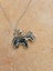 Super Cute Paua Scottie Dog Pendant And Chain Carousel 3