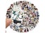 10/20/50/100Pcs Anime Stickers Bungou Stray Dogs Graffiti DIY Vinyl Decals For Carousel 2
