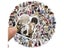 10/20/50/100Pcs Anime Stickers Bungou Stray Dogs Graffiti DIY Vinyl Decals For Carousel 3