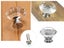 Cabinet Drawer Door Knobs Carousel 4