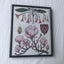 Framed Ornamental Botanical Print Carousel 2
