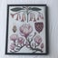Framed Ornamental Botanical Print Carousel 4