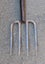 Vintage Garden Fork (TGD11a) Carousel 4
