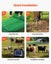 New Electric Fence Netting 1.27 x 50 m Portable Livestock Barrier with Posts Carousel 6