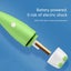 Water Pick,The Kids Battery Toothbrush Kids Electric Toothbrushes Toothbrush, Carousel 5