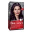 SCHWARZKOPF BRILLIANCE Hair Colour Carousel 1