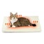 Self Warming Cats Bed Self Heating,Cats Dog Mat,Extra Warm Thermal Pet Pad Fo Carousel 9