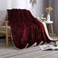 Queen Size Blanket, Thickened Fleece Blanket Solid Color Double Sided Flannel Carousel 2
