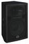 Wharfedale Pro - DELTA-AXF15 15" Active Speaker Carousel 4