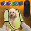 Microfiber Dog Towels for Drying Dogs, Super Absorbent and Soft Pet Grooming Carousel 3