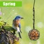 4 Pack Suet Ball Bird Feeder Set Metal Bird Feeding Station Kit with Hanging Carousel 6