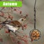 4 Pack Suet Ball Bird Feeder Set Metal Bird Feeding Station Kit with Hanging Carousel 8