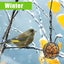 4 Pack Suet Ball Bird Feeder Set Metal Bird Feeding Station Kit with Hanging Carousel 9