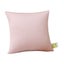 17.7x17.7 Throw Pillow Insert - Pack of 1, Down Alternative Pillow Inserts fo Carousel 1