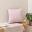 17.7x17.7 Throw Pillow Insert - Pack of 1, Down Alternative Pillow Inserts fo Carousel 8