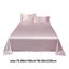 Ice Silk Bed Sheet Pillow Case 3-piece Set - Silky And Luxurious Soft Ice Sil Carousel 3