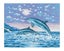 Collection D'Art Tapestry Canvas 50X60 Jumping Dolphins Carousel 1