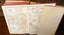 EVERYBODY’S PEPY'S The Diary of Samuel Pepys 1926 illustrated vintage book Carousel 4
