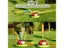 Ladybug Sport Entertainment Game Toy Multifunction Rope Skipping Machine Carousel 5