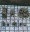Dungeon Scatter Rotting Storage Set Dungeons and Dragons dice4dungeons Carousel 3
