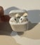 Apple AirPods- Used Condition (**$1 Reserve**) Carousel 6