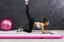 Inflatable Gymnastics Tumbling Mat 2015005 Carousel 6