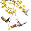 Window Bird Feeder, Clear Acrylic Birdfeeder with Chains, Squirrel Proof Deco Carousel 3