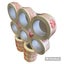 "Stop" Packaging Tape - 36 rolls 100m length SPECIAL $50 Carousel 3