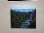 Waterfall and Ferns Fiordland - Caley Hall - Original Painting Carousel 5
