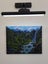 Waterfall and Ferns Fiordland - Caley Hall - Original Painting Carousel 7