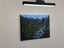 Waterfall and Ferns Fiordland - Caley Hall - Original Painting Carousel 9