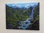 Waterfall and Ferns Fiordland - Caley Hall - Original Painting Carousel 11