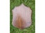 Deer Trophy Shield Roe Solid Oak Trophy Plate Buck Wooden Shields For Deer Carousel 5